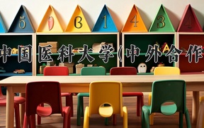 2024中国医科大学(中外合作)录取分数线，河南最低548分