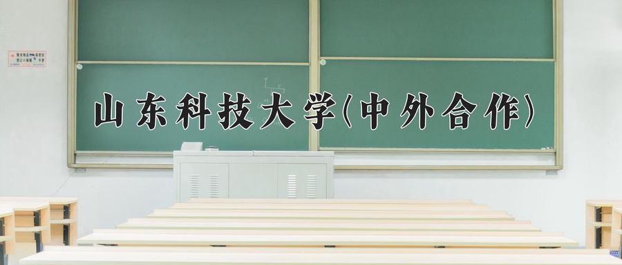 山东科技大学(中外合作)