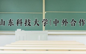 2024山东科技大学(中外合作)录取分数线，河南最低512分
