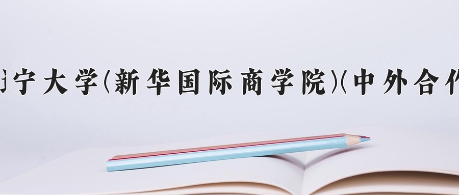 辽宁大学(新华国际商学院)(中外合作)