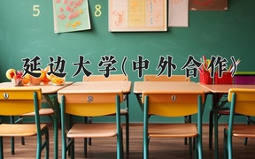 2024延边大学(中外合作)录取分数线，河南最低558分