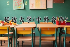 2024延边大学(中外合作)录取分数线，河南最低558分