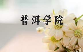 2024普洱学院录取分数线，河南最低454分