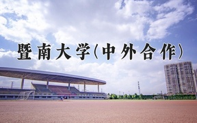 2024暨南大学(中外合作)录取分数线，河南最低584分