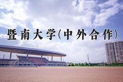 2024暨南大学(中外合作)录取分数线，河南最低584分