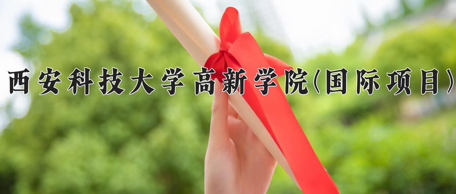 西安科技大学高新学院(国际项目)
