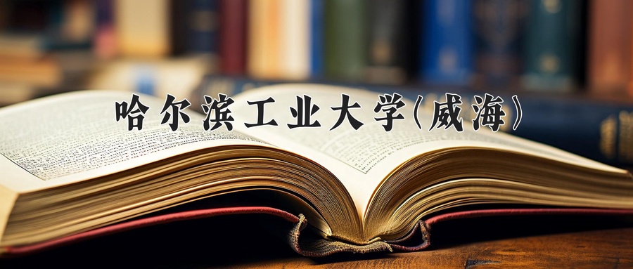 哈尔滨工业大学(威海)近三年录取分数线及位次:新疆2021-2023最低分
