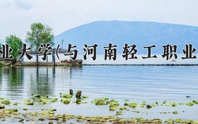 2024郑州轻工业大学(与河南轻工职业学院联办)录取分数线，河南最低501分