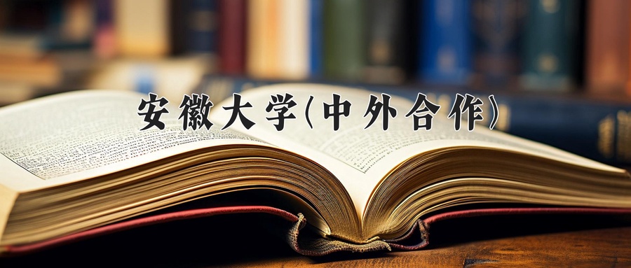 安徽大学(中外合作)