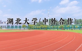 2024湖北大学(中外合作)录取分数线，河南最低540分