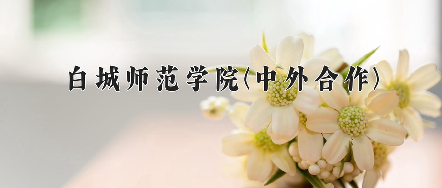 白城师范学院(中外合作)