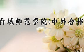 2024白城师范学院(中外合作)录取分数线，河南最低435分