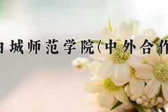 2024白城师范学院(中外合作)录取分数线，河南最低435分