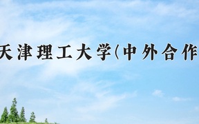 2024天津理工大学(中外合作)录取分数线，河南最低537分