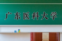 2024广东医科大学录取分数线，河南最低562分