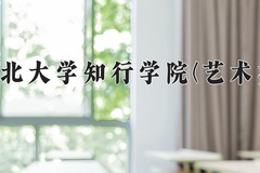 2024湖北大学知行学院(艺术类)录取分数线，河南最低412分