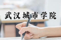 武汉城市学院近三年录取分数线及位次：新疆2021-2023最低分