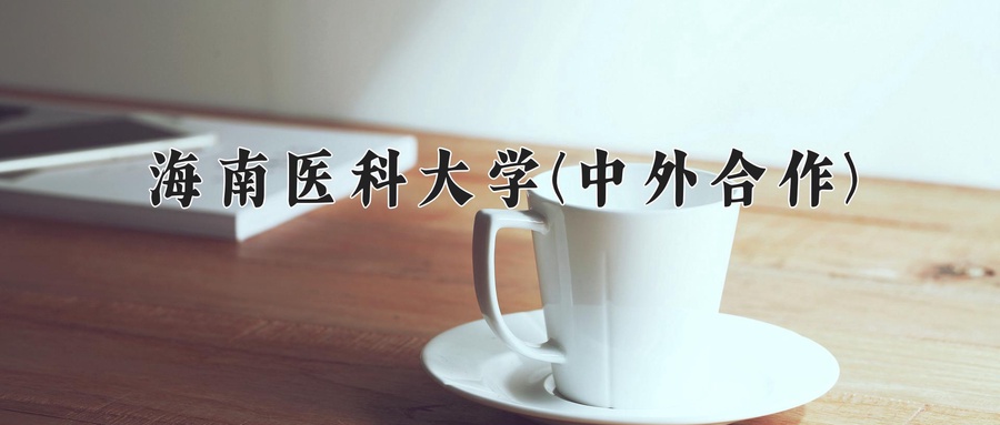海南医科大学(中外合作)