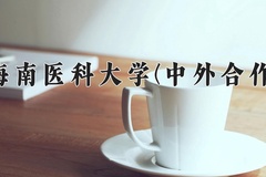 2024海南医科大学(中外合作)录取分数线，河南最低453分