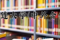 2024大连大学(中外合作)录取分数线，河南最低404分