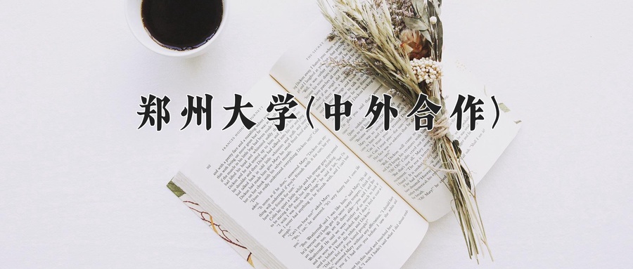 郑州大学(中外合作)