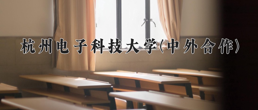 杭州电子科技大学(中外合作)