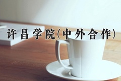 2024许昌学院(中外合作)录取分数线，河南最低433分