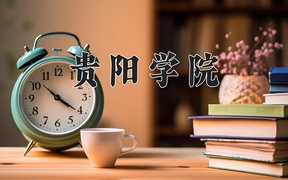2024贵阳学院录取分数线，河南最低397分