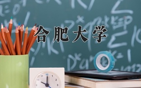 2024合肥大学录取分数线，河南最低514分
