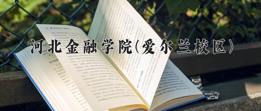 河北金融学院(爱尔兰校区)