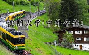 2024沈阳大学(中外合作)录取分数线，河南最低490分