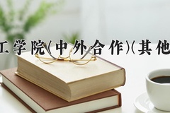 2024安阳工学院(中外合作)(其他单列)录取分数线，河南最低457分