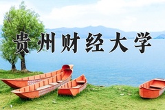 2024贵州财经大学录取分数线，河南最低461分
