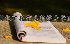 湖北工程学院新技术学院近三年录取分数线及位次：新疆2021-2023最低分
