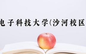 2024电子科技大学(沙河校区)录取分数线，河南最低646分