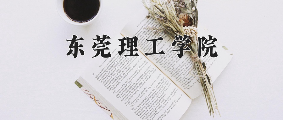 东莞理工学院