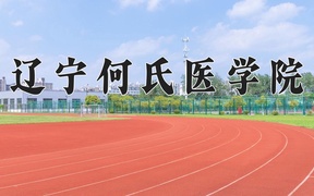 2024辽宁何氏医学院录取分数线，河南最低418分