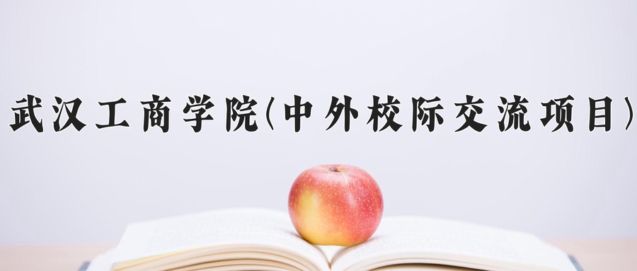 武汉工商学院(中外校际交流项目)
