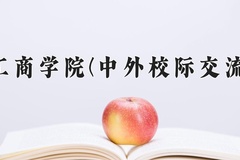 2024武汉工商学院(中外校际交流项目)录取分数线，河南最低417分