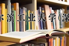 2024哈尔滨工业大学(深圳)录取分数线，河南最低611分