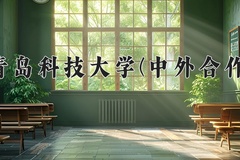 2024青岛科技大学(中外合作)录取分数线，河南最低519分