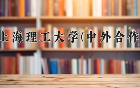 2024上海理工大学(中外合作)录取分数线，河南最低538分