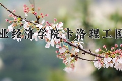 2024河南牧业经济学院卡洛理工国际学院录取分数线，河南最低419分