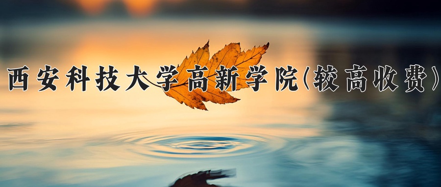 西安科技大学高新学院(较高收费)