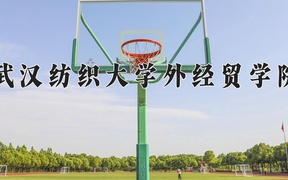 2024武汉纺织大学外经贸学院录取分数线，河南最低429分