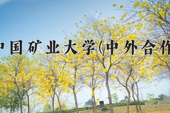 2024中国矿业大学(中外合作)录取分数线，河南最低571分