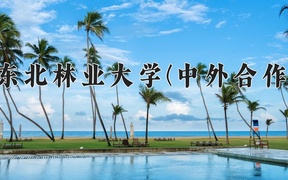 2024东北林业大学(中外合作)录取分数线，河南最低545分