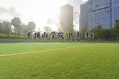 2024平顶山学院(医护类)录取分数线，河南最低488分