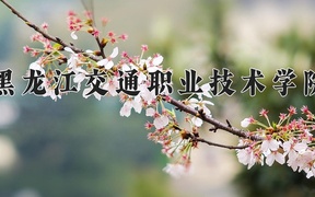 黑龙江交通职业技术学院近三年录取分数线及位次：新疆2021-2023最低分