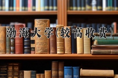 2024渤海大学(较高收费)录取分数线，河南最低460分